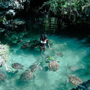 Nungwi Mnarani Aquarium
