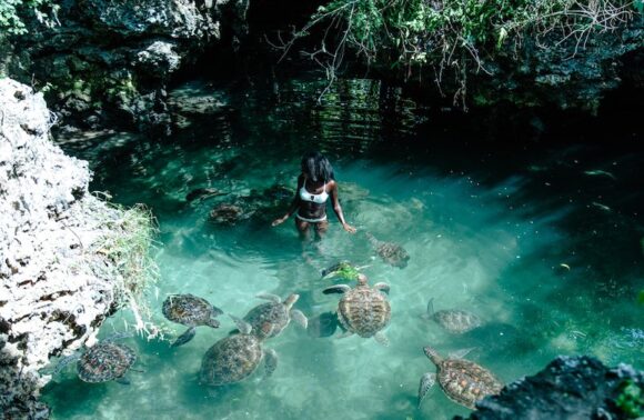 Nungwi Mnarani Aquarium