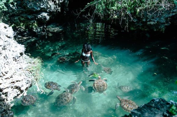 Nungwi Mnarani Aquarium